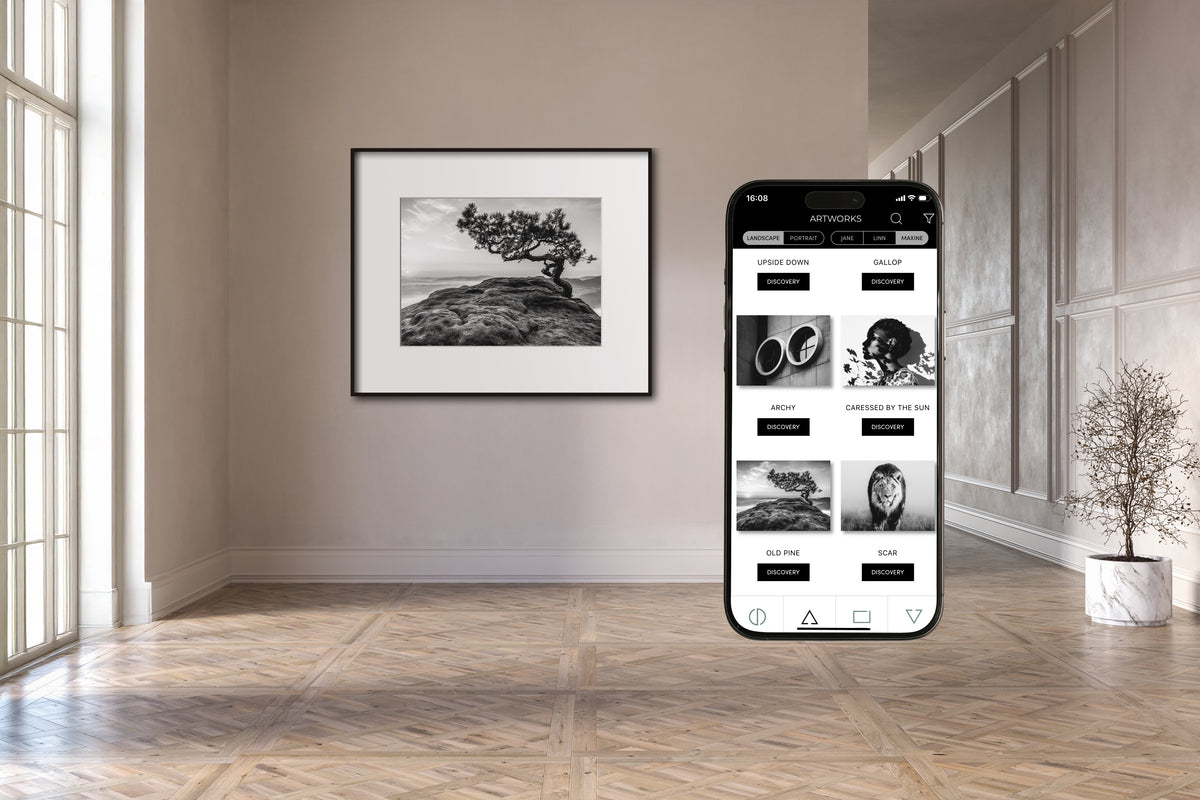 IONNYK mobile app controlling Maxine large-format ePaper Digital Art Frame and fine art photography collection