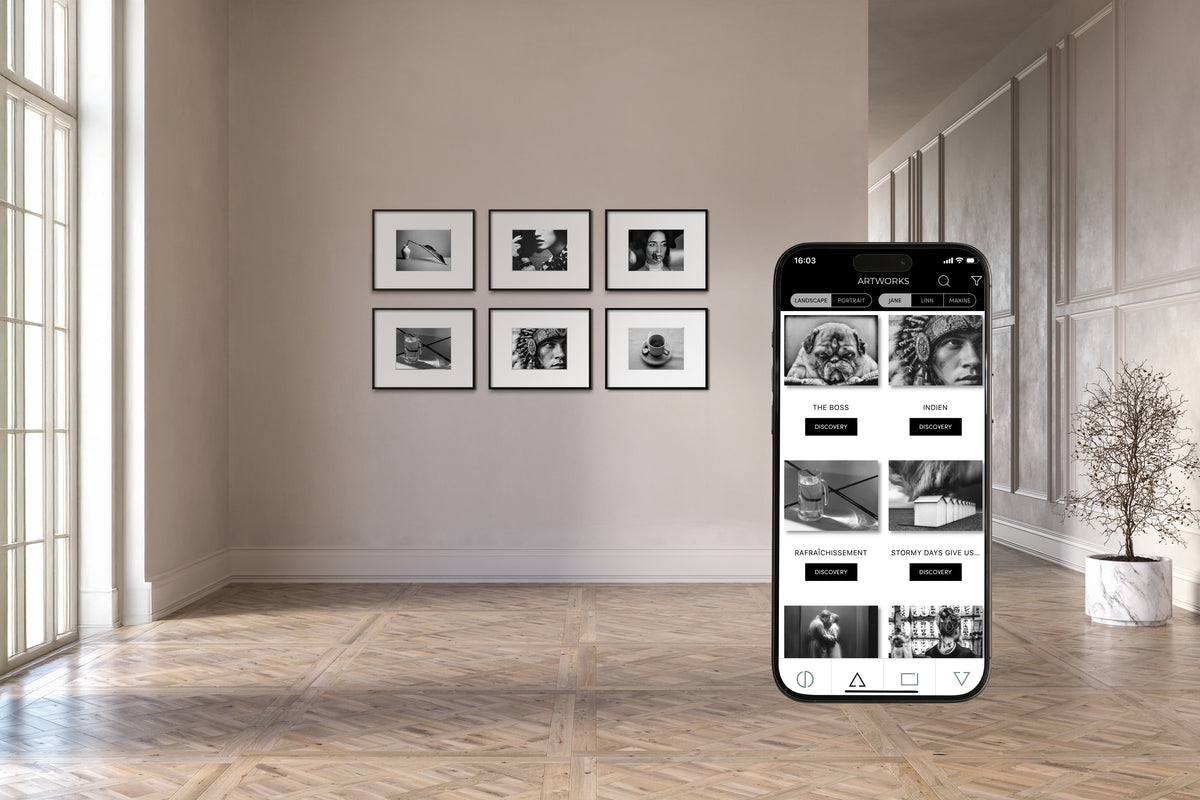 IONNYK mobile app controlling a wireless ePaper Digital Art Frame and fine art photography collection