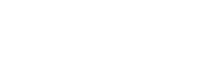 ION_Logo_white