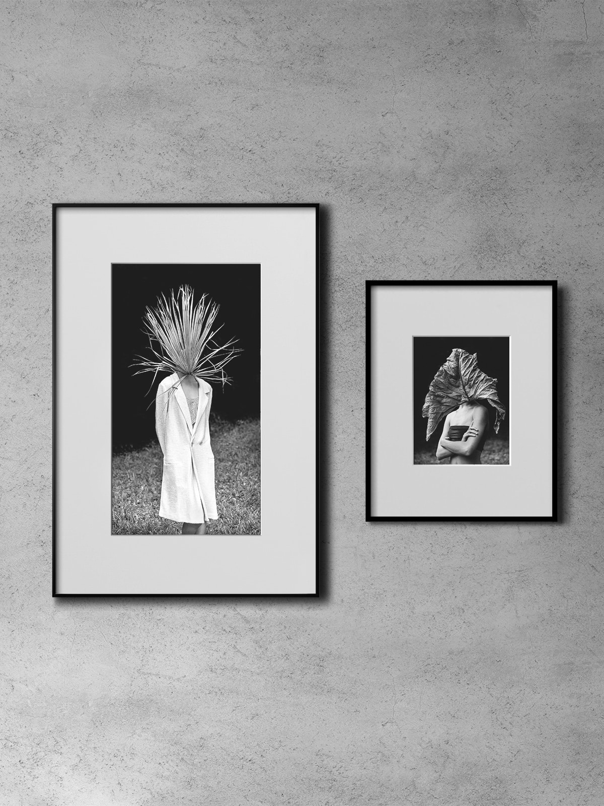 Jane et Linn Press Kit