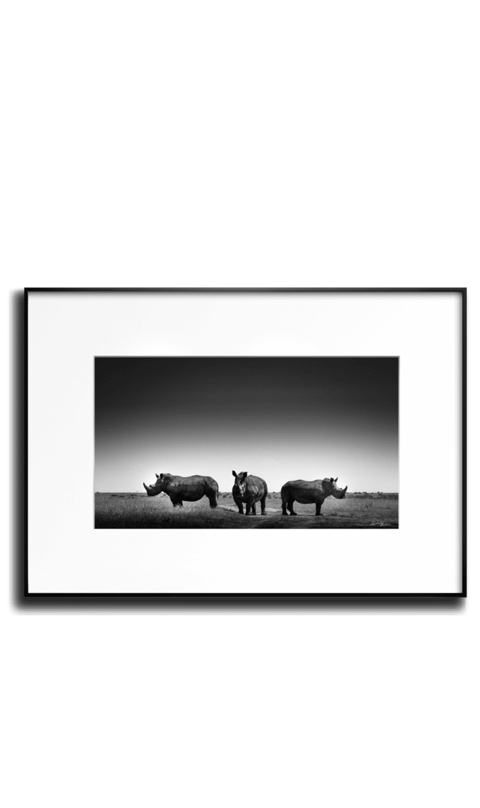 Baheux LINN horiz transparent Rhino