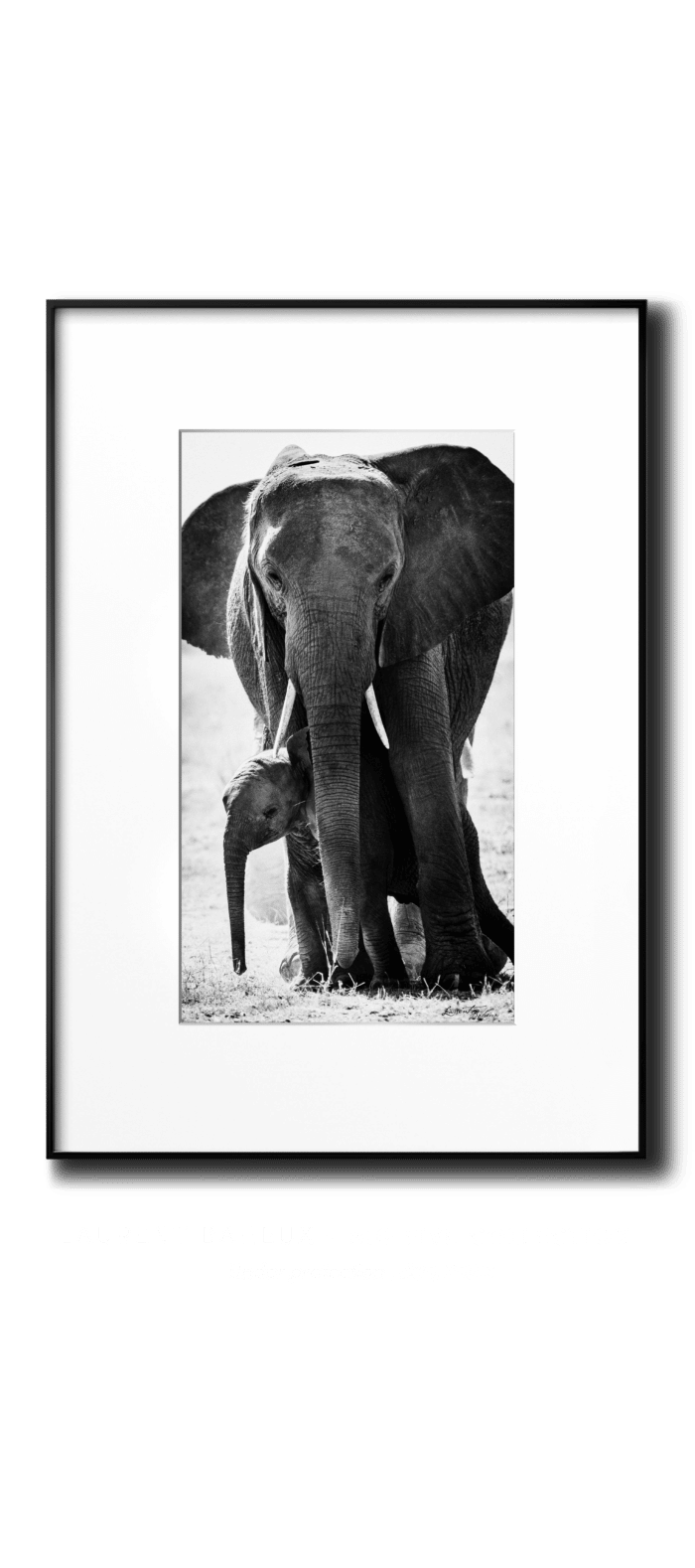 Baheux LINN vertical transparent Elephant