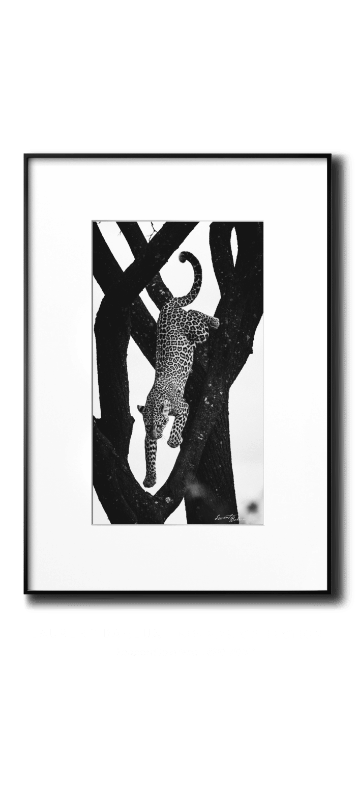 Baheux LINN vertical transparent Leopard