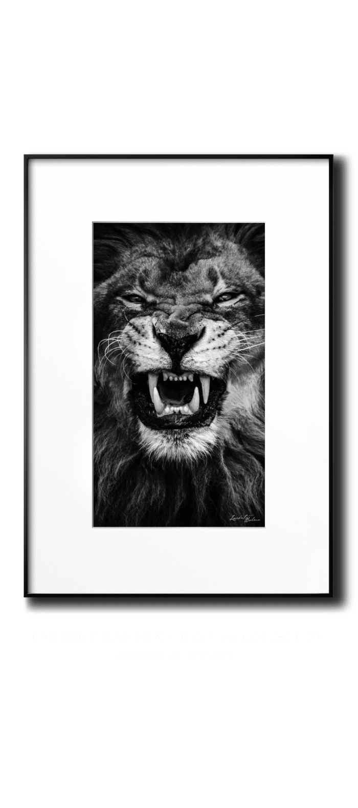 Baheux LINN vertical transparent Lion