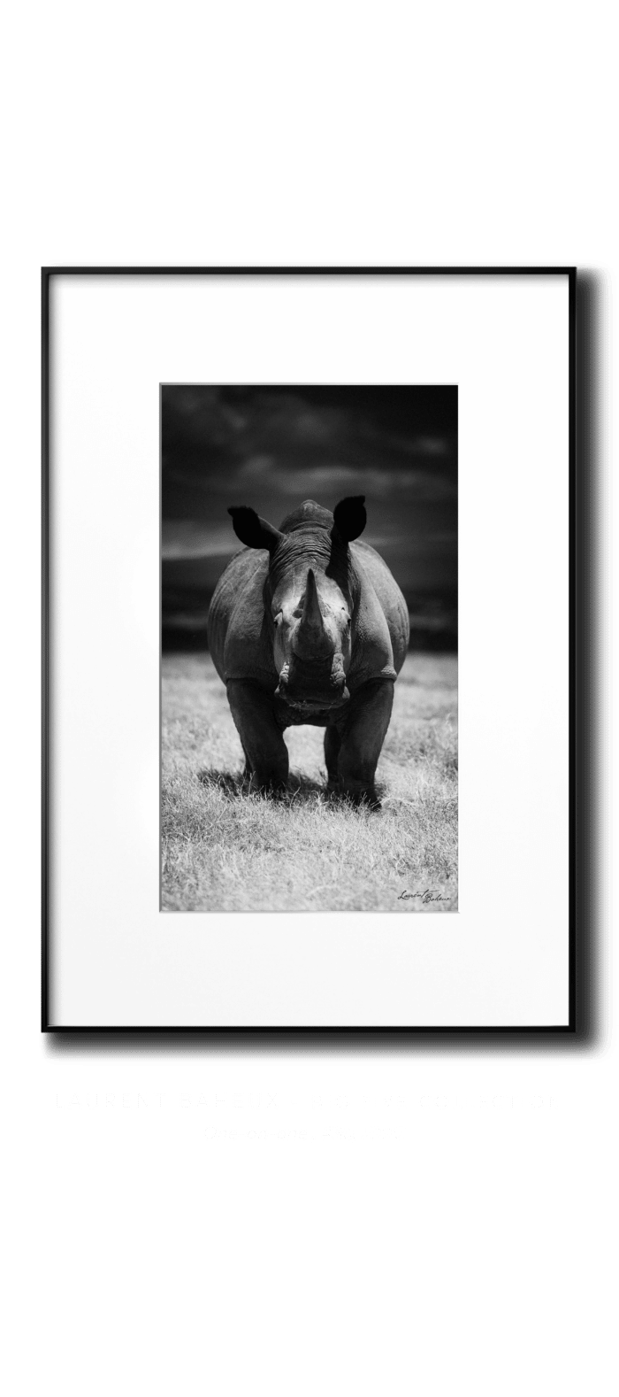 Baheux LINN vertical transparent Rhino