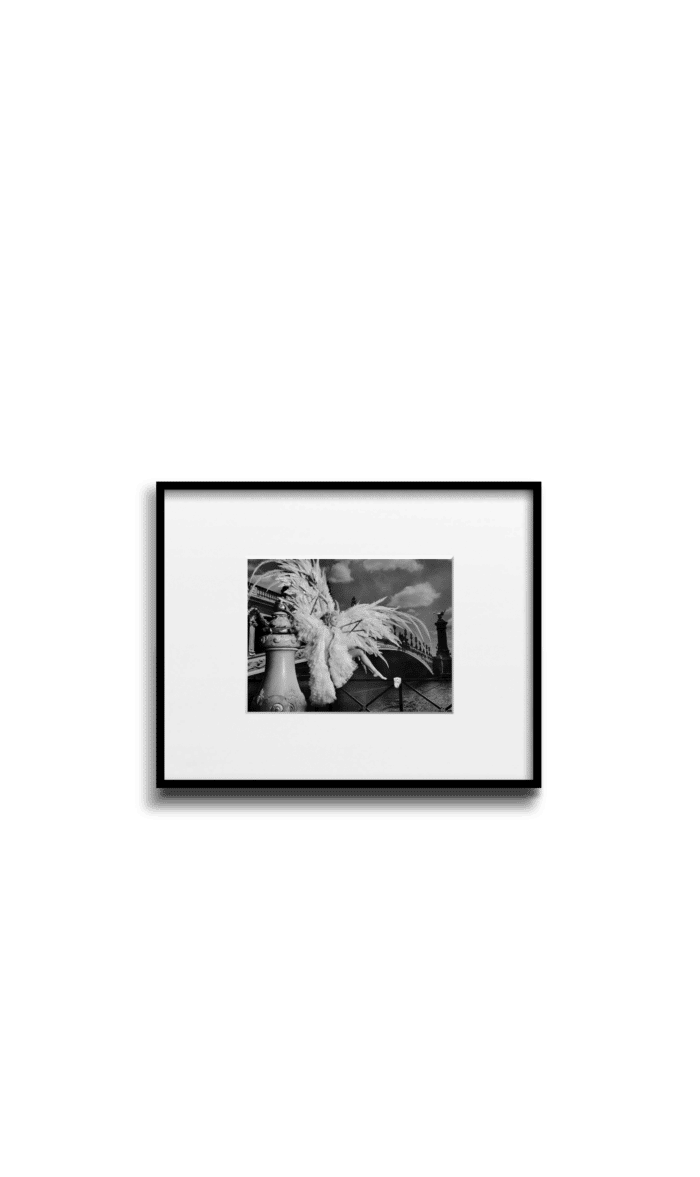 Nicolas Bets JANE horiz transparent_Paris Angle 3