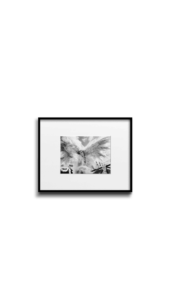 Nicolas Bets JANE horiz transparent_Paris Angle 4