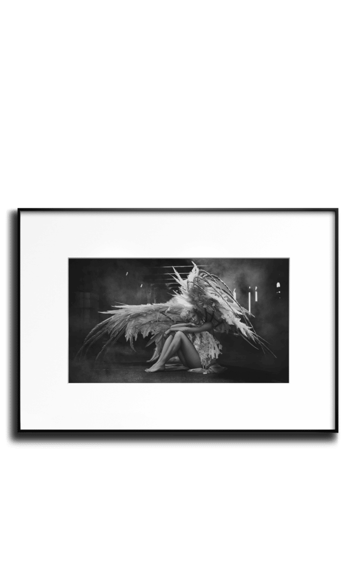 Nicolas Bets LINN horiz transparent_Paris Angel 5