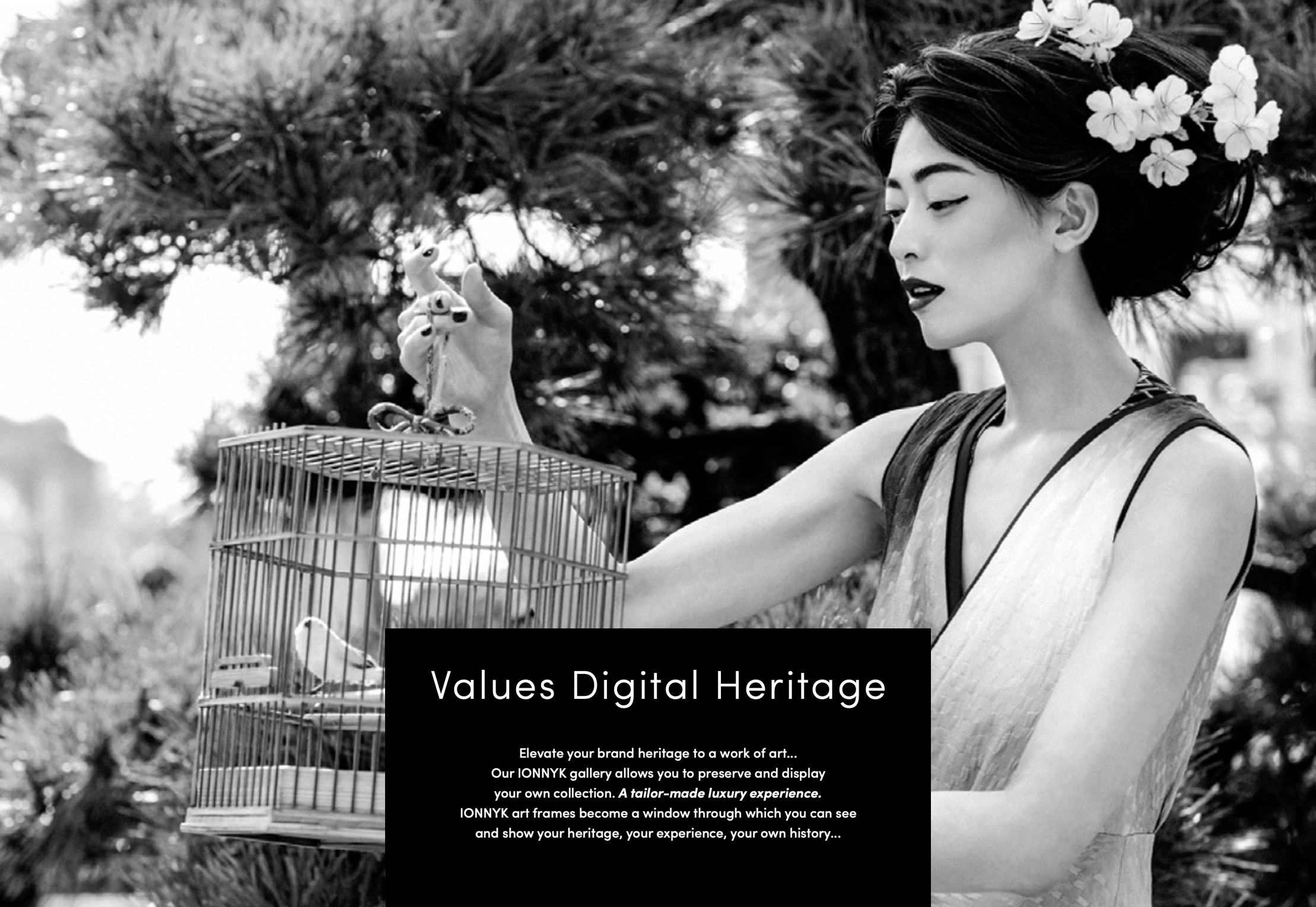 Digital Heritage
