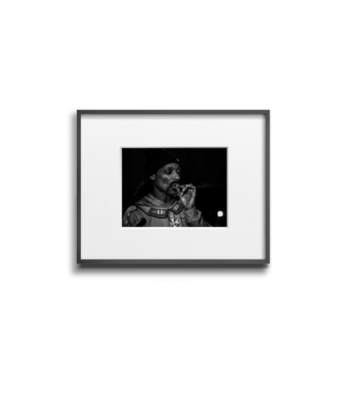 Snoop Dog - Jane - Smart Art 1