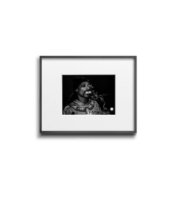 Snoop Dog - Jane - Smart Art 2
