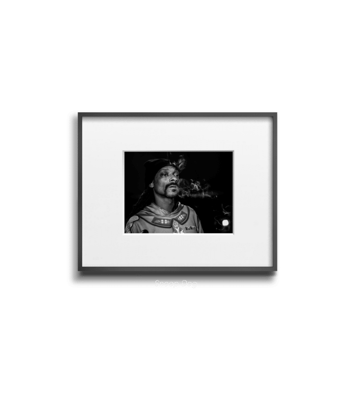 Snoop Dog - Jane - Smart Art 3