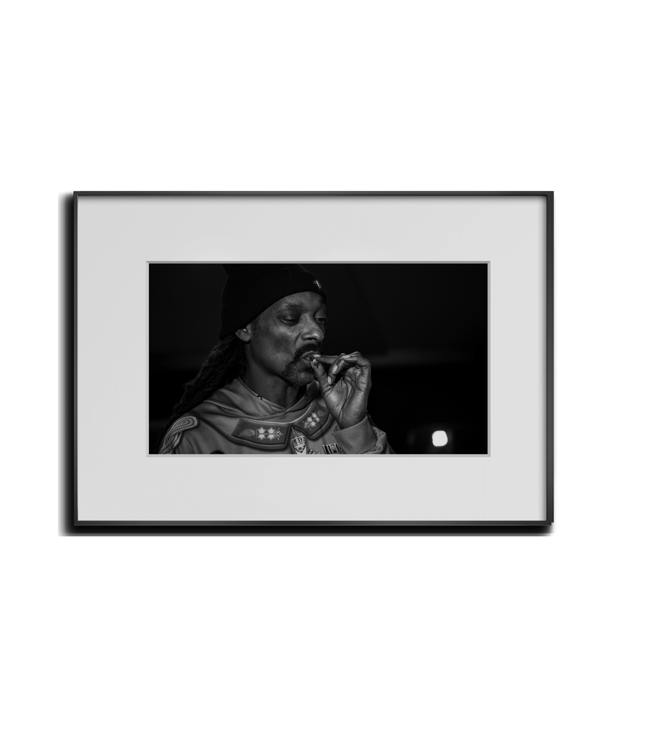 Snoop Dog - Linn - Smart Art 1