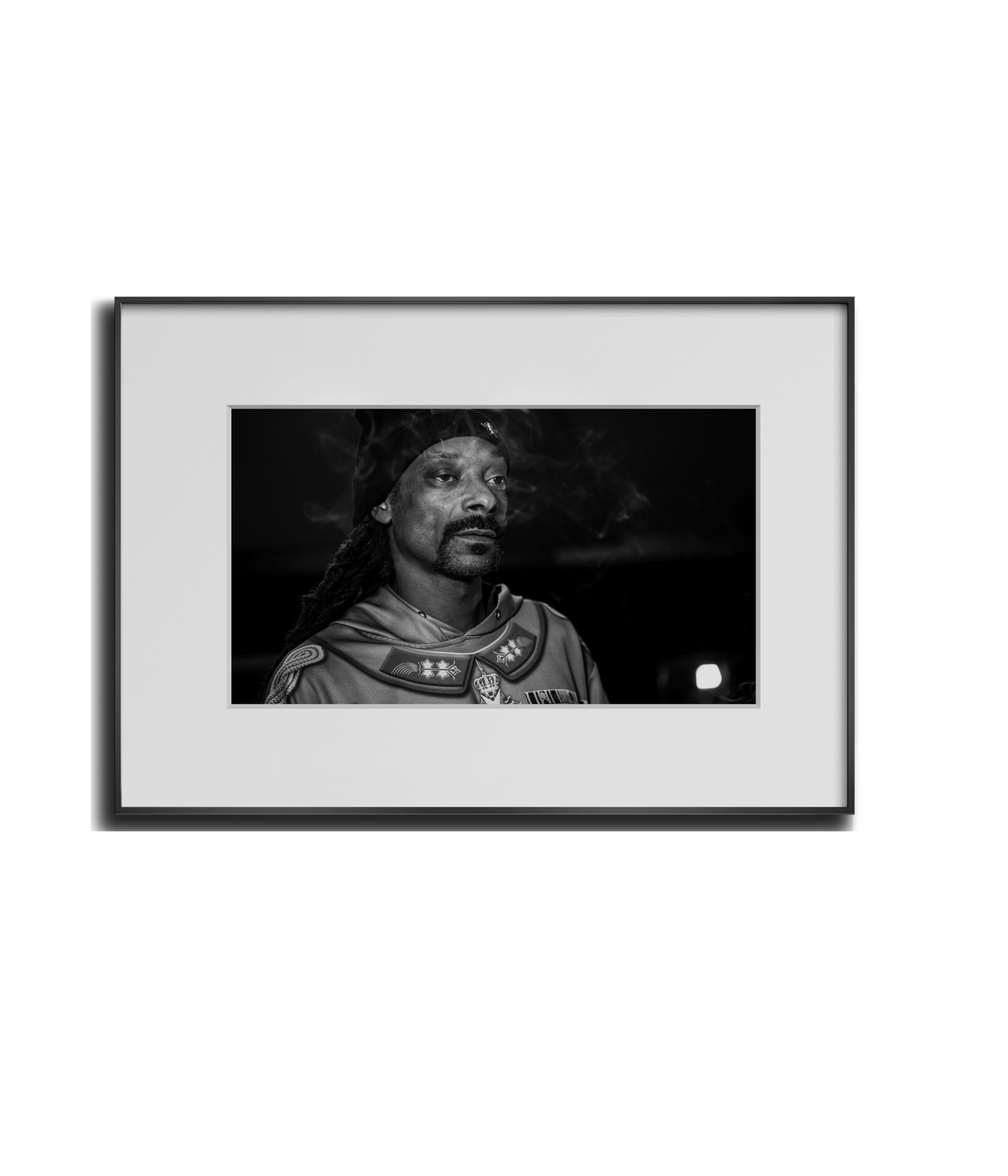 Snoop Dog - Linn - Smart Art 4