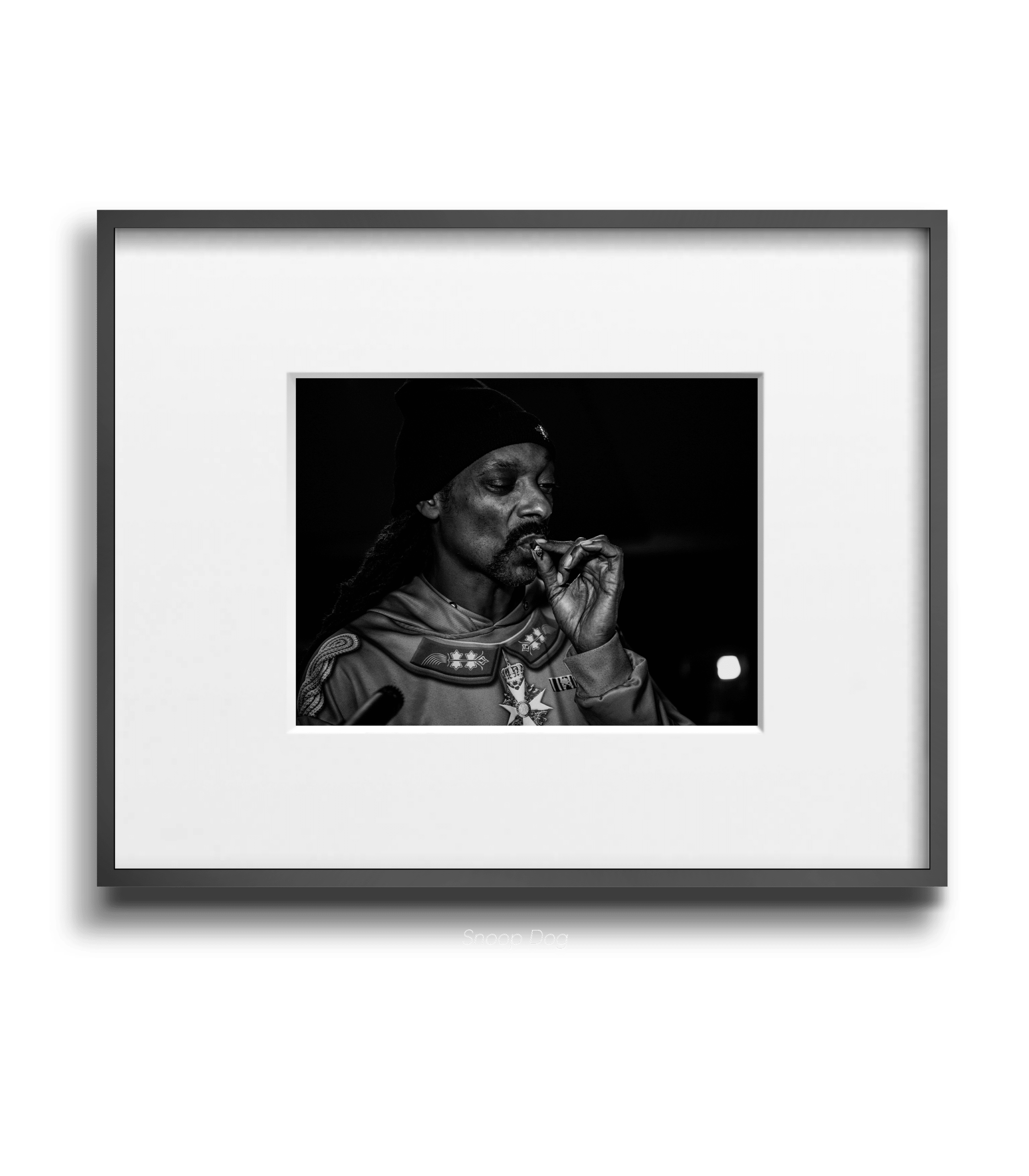 Snoop Dog - Maxine - Smart Art 1
