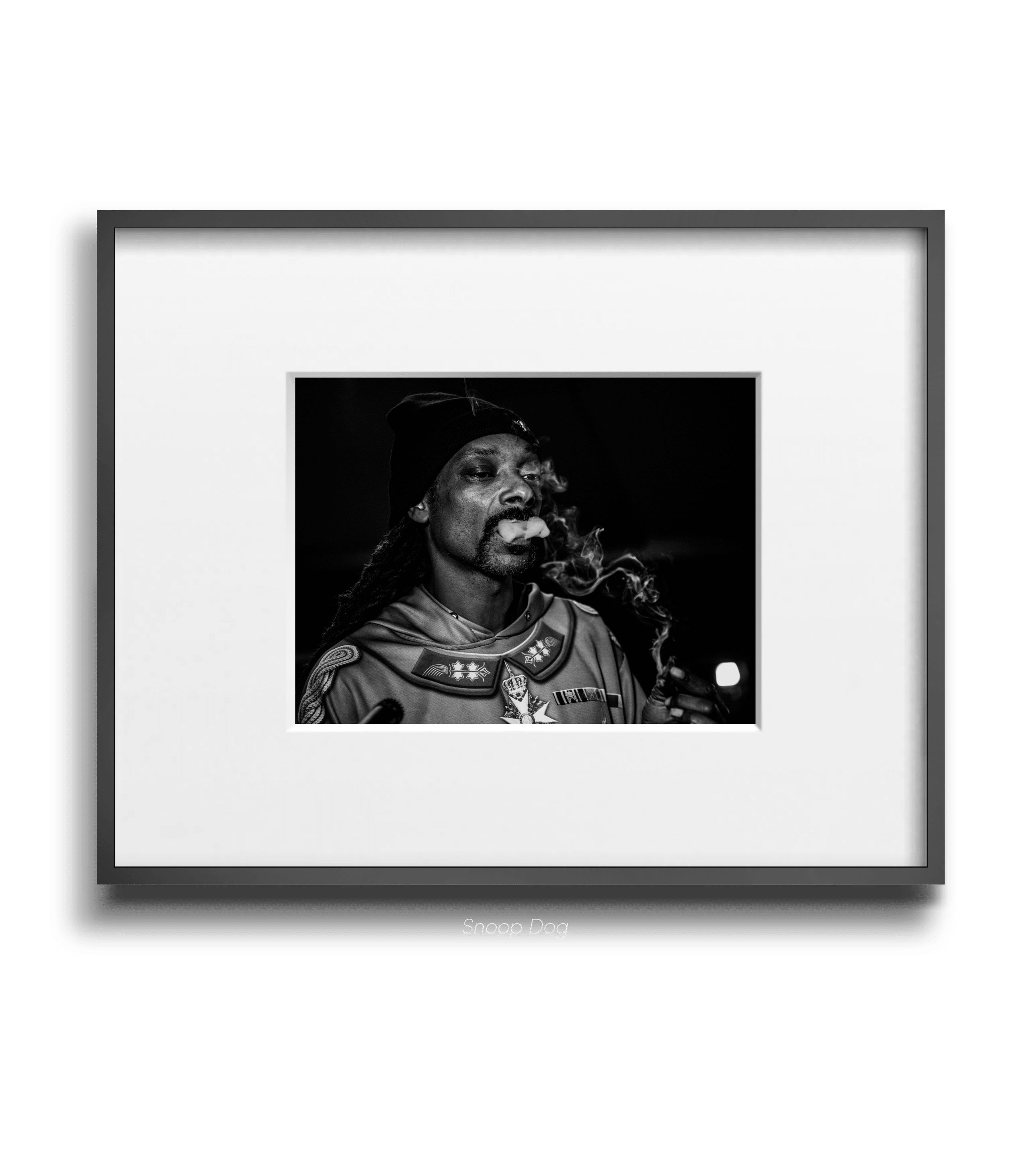 Snoop Dog - Maxine - Smart Art 2