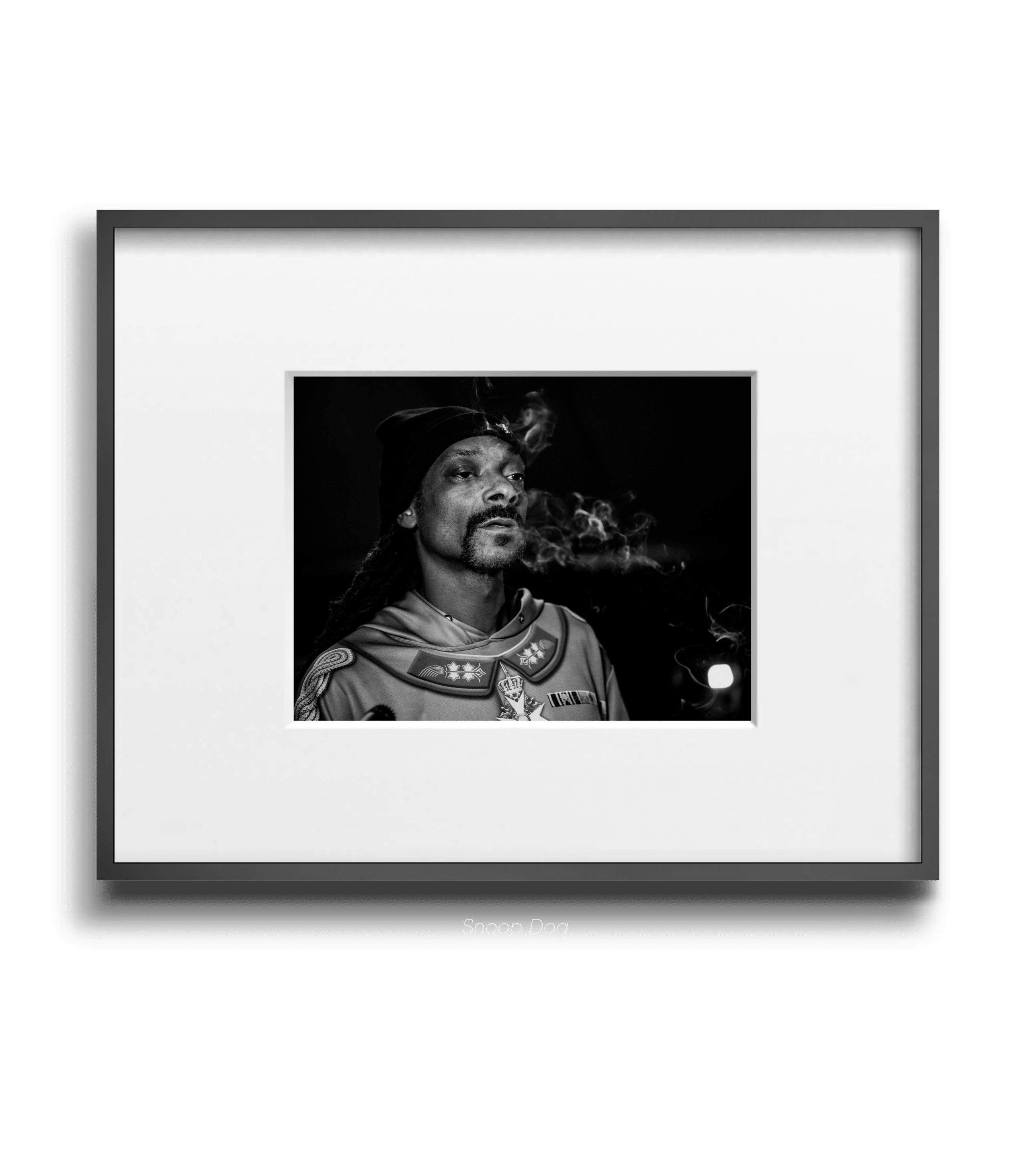 Snoop Dog - Maxine - Smart Art 3